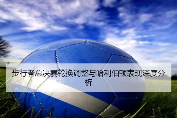 bu-xing-zhe-zong-jue-sai-lun-huan-tiao-zheng-yu-ha-li-bo-dun-biao-xian-shen-du-fen-xi-2-772.jpg