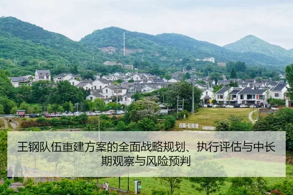 王钢队伍重建方案的全面战略规划、执行评估与中长期观察与风险预判